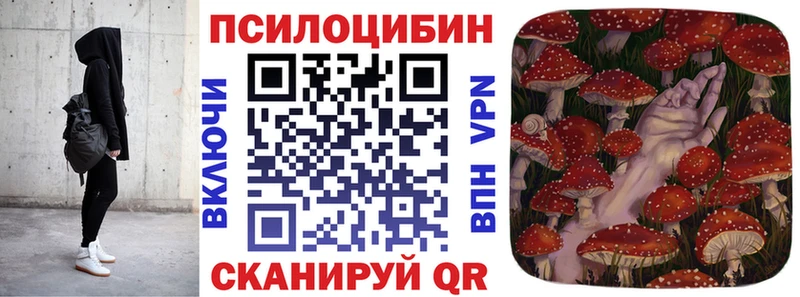 Псилоцибиновые грибы Psilocybe  Купить  Борисоглебск 